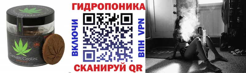 Canna-Cookies конопля  Александровск 