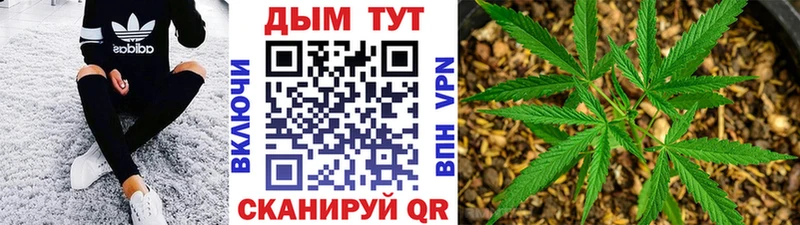 Шишки марихуана семена  где найти   Александровск 